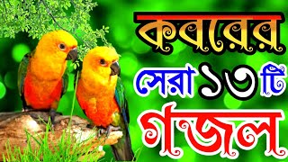 মাহে রমজানে খুবই দুঃখের কবরের সেরা মায়াবী কন্ঠের মন প্রাণ জুড়ানো গজল  New Islamic Song New Gojol [upl. by Aitam]