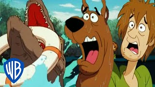 ScoobyDoo  Scooby Overboard  WB Kids [upl. by Marjorie]