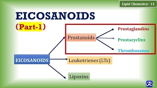 11 Eicosanoids Part 1 Prostanoids Prostaglandin Prostacyclin Thromboxane  Lipid Chemistry11 [upl. by Orian]