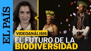 El mundo discute el futuro de su biodiversidad en la COP16 de Cali [upl. by Ernst]