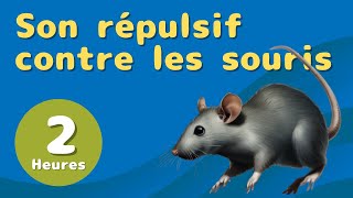 Bruit Répulsif pour Souris et Rats Sons haute fréquence Non compatible avec iPhone [upl. by Negroj474]