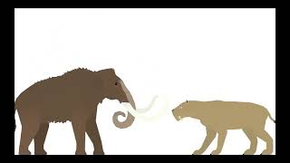 Woolly Mammoth VS Smilodon [upl. by Randall]