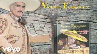 Vicente Fernández  Necesito De Ti Cover AudioVideo [upl. by Alya]