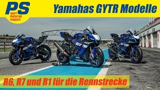 2024 YAMAHA R1 OFFICIALLY LAUNCHED [upl. by Ashman]