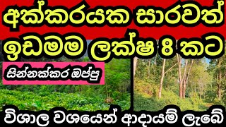 සින්නක්කර අක්කරයම ලක්ෂ 8 කට  Land for sale  Tea idam  Agriculture land  Aduwata idam  Idam sale [upl. by Aroc385]