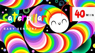 Colorful Caterpillar With Bubbles Sensory Videos for Babies Hight Contrast Eye Tracking  Fun Music [upl. by Attoynek]