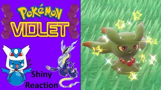 Pokemon Violet Shiny Misdreavus Reaction [upl. by Nimaj]