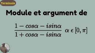 Comment Calculer le module dun nombre complexe  Mathématiques Terminale [upl. by Aliuqa486]