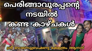 ആനാട് ബാല സുബ്രഹ്മണ്യ ക്ഷേത്രത്തിലെ ഉത്സവം 2024 saigoosvission familyvlog travelvlog todayvlog [upl. by Dorreg]