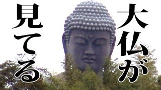 牛久大仏がこっち見てる Ushiku Great Buddha is looking [upl. by Regine60]