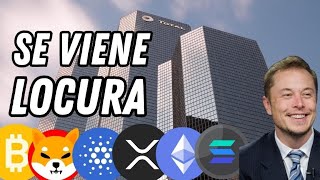 ¡¡¡¡ MENOS DE 24 HORAS PARA ELECCIONES  😱 REPUNTARÁ BITCOIN Y CRYPTO bitcoin ethereum xrp [upl. by Alemahs]