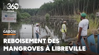 Gabon une campagne de reboisement des palétuviers pour restaurer les zones humides en danger [upl. by Magnuson11]