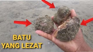 MENGAMBIL BATU LAUT UNTUK DIMAKAN》INI MAKANAN ENAK‼ [upl. by Neona724]