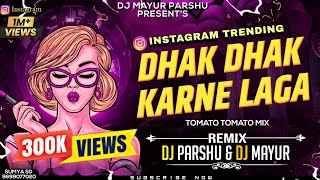 Dhak Dhak Karne Laga Vs Tomato Tomato  DJ Mayur amp DJ Parshu  Instagram Trending [upl. by Koralle]