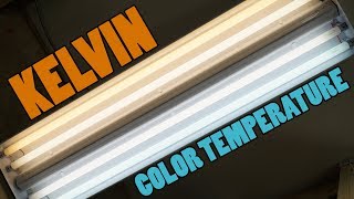 Light Bulb Color Temperature  WHAT ARE KELVINS 2700K 3000K 5000K [upl. by Ahtennek]