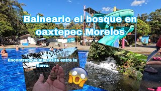 El lugar más hermoso para visitar en Oaxtepec Morelos Balneario ejidal quotEL BOSQUEquot [upl. by Ardnuaek497]