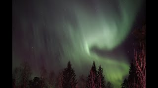 Northern Lights LIVE [upl. by Ahsot]