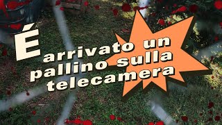 È LA PRIMA VOLTA UN PALLINO SULLA TELECAMERA CHE SFIGA [upl. by Drud]