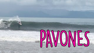 Perfect day Pavones  Costa Rica 16 August 2021 RAW [upl. by Hedley]