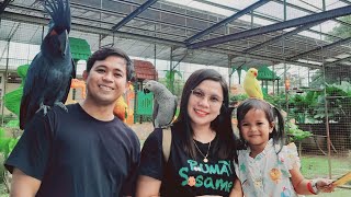 Santi Fam goes to Yokis Farm  Part 2 Koi Fish Stingray and Open Aviary  Bird Feeding [upl. by Cida]