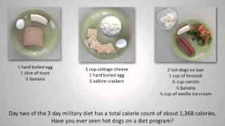 What is The 3 Day Military Diet [upl. by Marba]