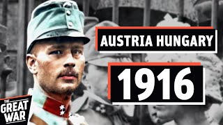 The Death Of The AustroHungarian Army 1916 Brusilov Offensive Documentary [upl. by Anaele]