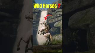 😲You Wont Believe How to Find RDR2s RAREST Horse✨ rdr2 reddeadredemtion2 shorts [upl. by Dnanidref89]