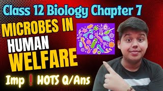 Microbes in Human Welfare  Class 12  Biology  Chapter 8  Important HOTS QAns for cbseclass12 [upl. by Gitlow]