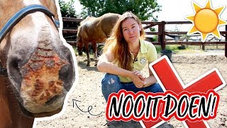 Doe dit NOOIT met je paard in de ZOMER  felinehoi [upl. by Puett]