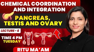 Pancreas Testis and Ovary Lecture 6  Chemical Coordination and Integration Ritu Rattewal [upl. by Harbed]