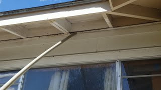 Removing yellow jacketspaper wasps from attic [upl. by Ayaladnot]