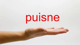 How to Pronounce puisne  American English [upl. by Adamski]