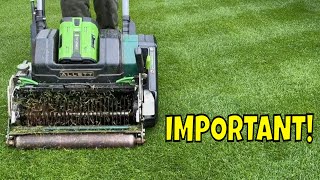 Two IMPORTANT Ways To HELP Keep LAWN DISEASE Away [upl. by Oynotna796]