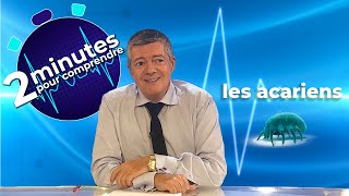 Les acariens  2 minutes pour comprendre [upl. by Derwon961]