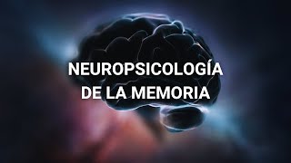 NEUROPSICOLOGÍA DE LA MEMORIA [upl. by Agler]