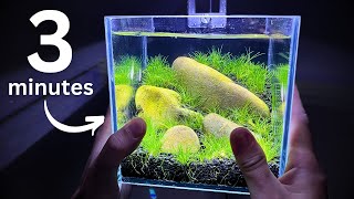 Nano shrimp tank in 3 minutes Step by step tutorial [upl. by Ahsenyl]