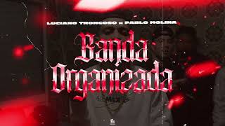 BANDA ORGANIZADA  djpablitomixOfficial feat Dj Luciano Troncoso guaracha aleteo tendencia [upl. by Savihc711]