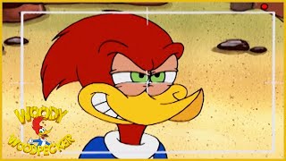 Woody Woodpecker Show  Suriving Woody  1 Hour Compilation  Cartoons For Children [upl. by Cherilyn959]