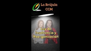 Ley de Insolvencia y Reorganización [upl. by Navy]