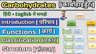 Carbohydrates in hindi  Classification of Carbohydrates  Monosaccharide  Disaccharide  Glucose [upl. by Madian]