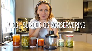 Vlog  Surdeig fermentering og konservering [upl. by Nesyaj]