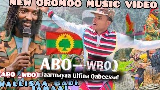 New oromo music wallisaa Badhasaa Jamaal  ABO WABO  October 4 2024 [upl. by Diet616]