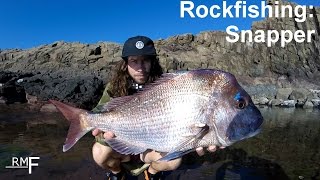 Snapper Rock Fishing [upl. by Mills]