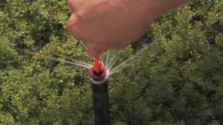 MP Rotator Series How to Adjust Hunters MP Rotator Sprinkler Head [upl. by Lled754]