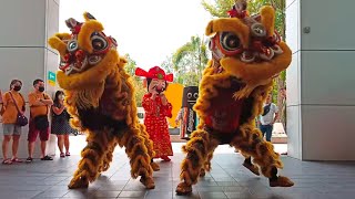 Lion Dance amp Choy San Yeh went to supermarket [upl. by Lanni]