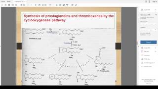 Biochemistry Hormones  05 Eicosanoids [upl. by Montagu]