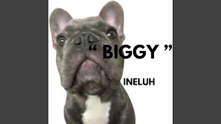 BIGGY feat BIGGY [upl. by Atinev]