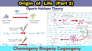 Oparin Haldane Theory  Origin of life  Part 2  Chemogeny  Biogeny  Cognogeny  Evolution [upl. by Einaled535]