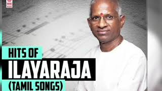 HITS BY ILAYARAJA INSTRUMENTAL  Andhi Mazhai Pozhigirathudedeesworld2022 [upl. by Eralc]