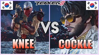 Tekken 8 ▰ KNEE Bryan Vs Cockle Shaheen ▰ High Level Gameplay [upl. by Norok]